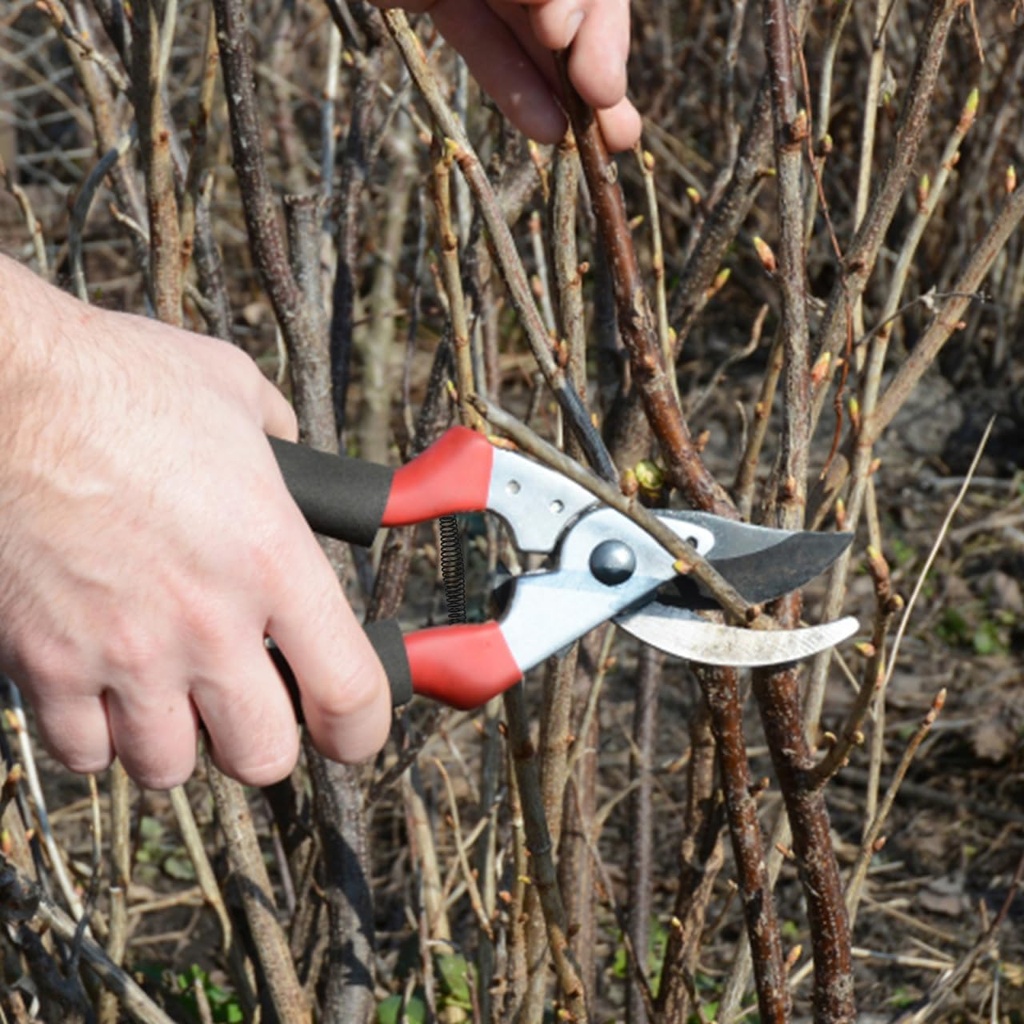 fruit-branch-shear-spring-replacement-fo-4.jpg