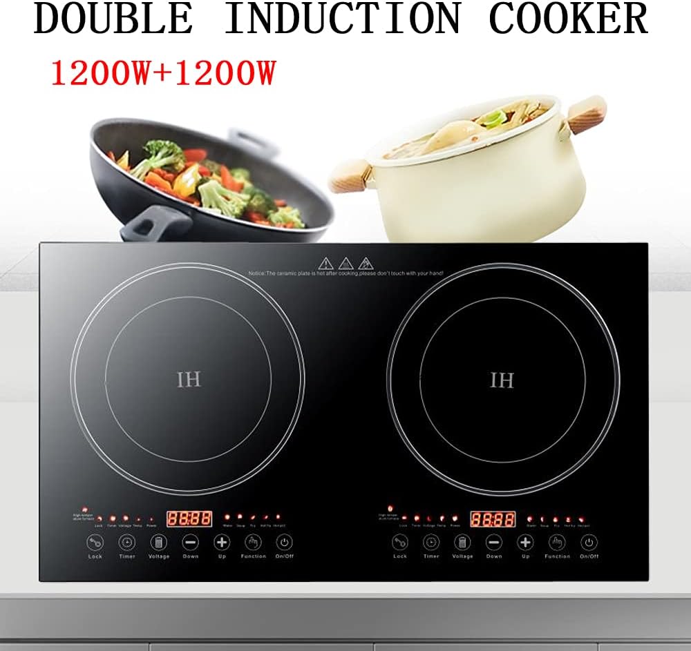double-induction-cooktop110v-portable-el-2.jpg