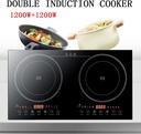 double-induction-cooktop110v-portable-el-2.jpg