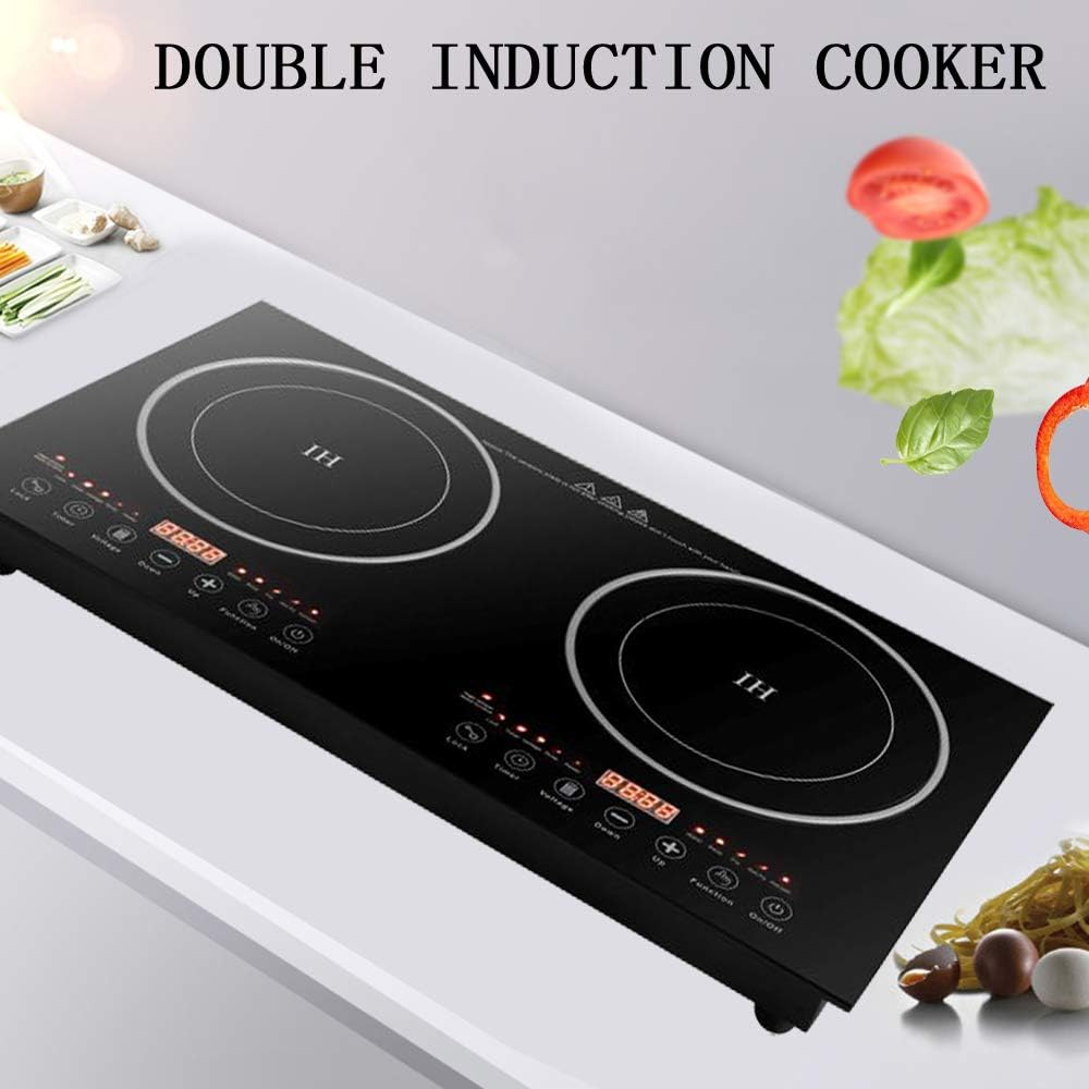 double-induction-cooktop110v-portable-el-5.jpg