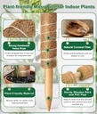 eaone-96-moss-pole-for-plants-indoor-6-p-2.jpg