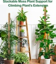 eaone-96-moss-pole-for-plants-indoor-6-p-6.jpg