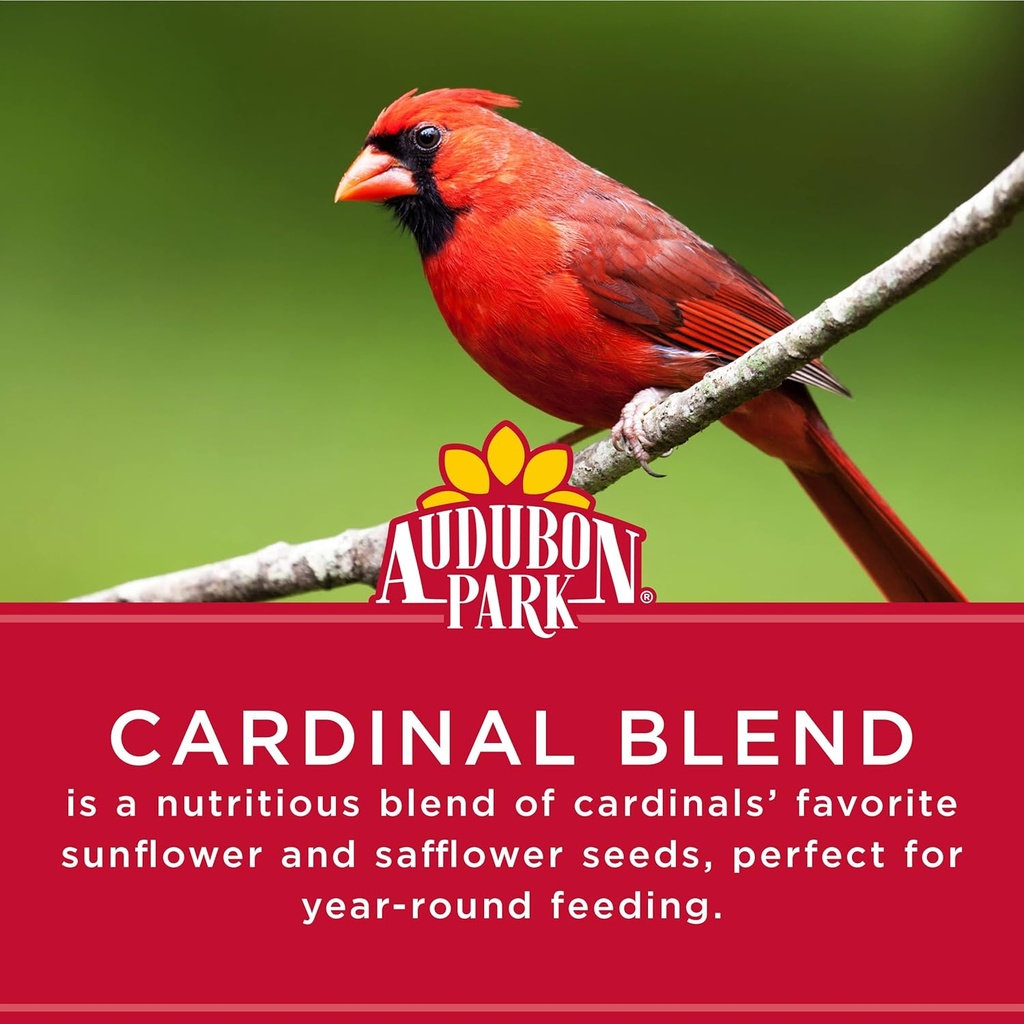 audubon-park-cardinal-blend-wild-bird-fo-4.jpg