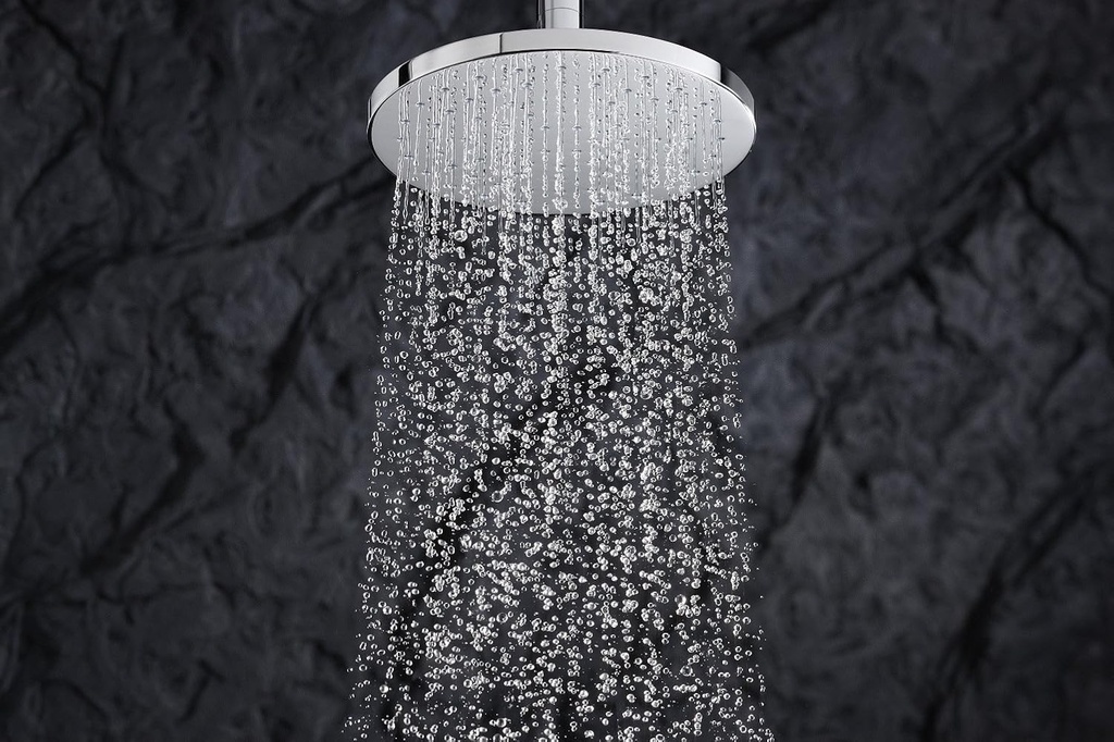 kohler-45202-bv-traditional-round-rainhe-2.jpg