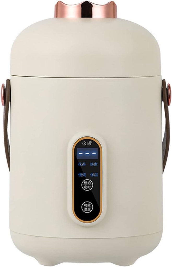 Portable Small Electric Kettle, Travel Electric Kettle Mini Portable Electric Cup Multifunctional Health Preserving Electric Stew Cup CN Plug