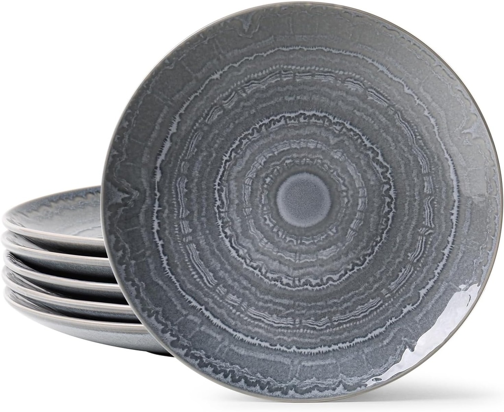 MONITO Ceramic Dinner Plates Set of 6,10.5 Inch Reactive Glaze Porcelain Plates, Dinnerware Dishes Set for Kitchen,Microwave,Dishwasher, Psychedelic Grey