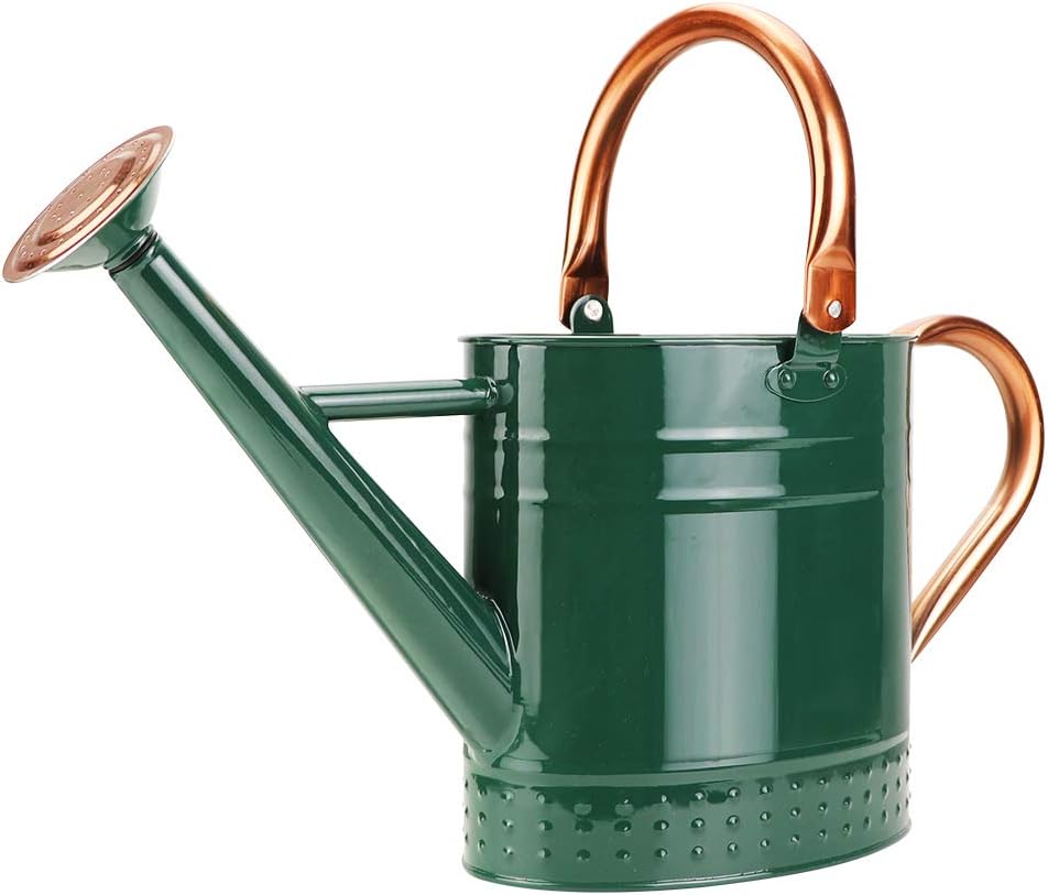 Megawodar 1 Gallon Metal Watering Can with Removable Spout, Nice Galvanized Steel Water Can with Embossed Design for Indoor and Outdoor Plants