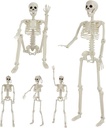 5 Pack Halloween Skeleton Decorations, 2 Pack 36" Full Body Joints Posable Skeleton with 3 Pack 16" Small Skeleton, Creepy Halloween Plastic Skeleton Decor for Haunted Houses Props, Garden, Graveyard