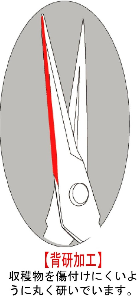 Snipper T-551 by Chikamasa