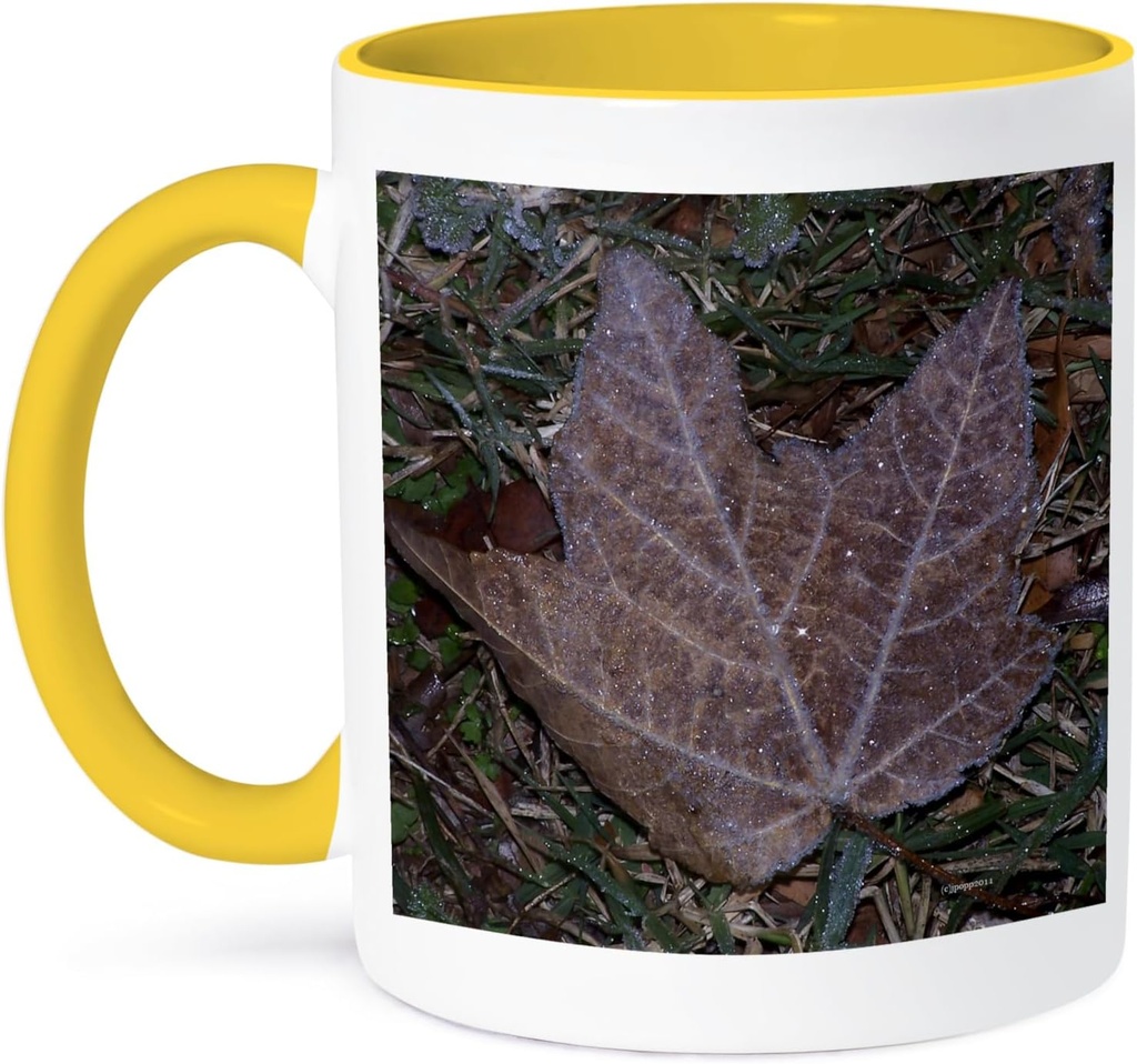 3dRose Fall leaf with ice crystals 15oz Two-Tone Yellow Mug