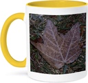 3dRose Fall leaf with ice crystals 15oz Two-Tone Yellow Mug
