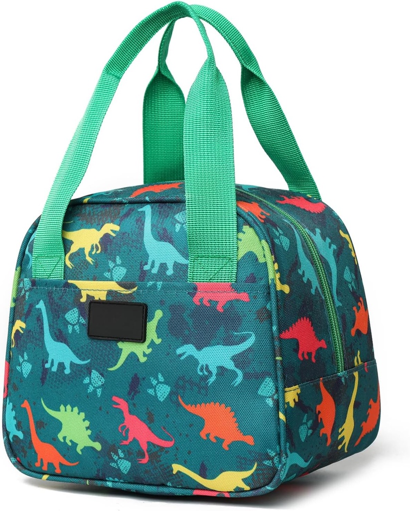 Nanxson Lunch Bag for Women & Men Insulated Lunch Box Small Leakproof Cooler Food Lunch Containers Reusable High Capacity Lunch Tote Bags(6L,Green Prints)