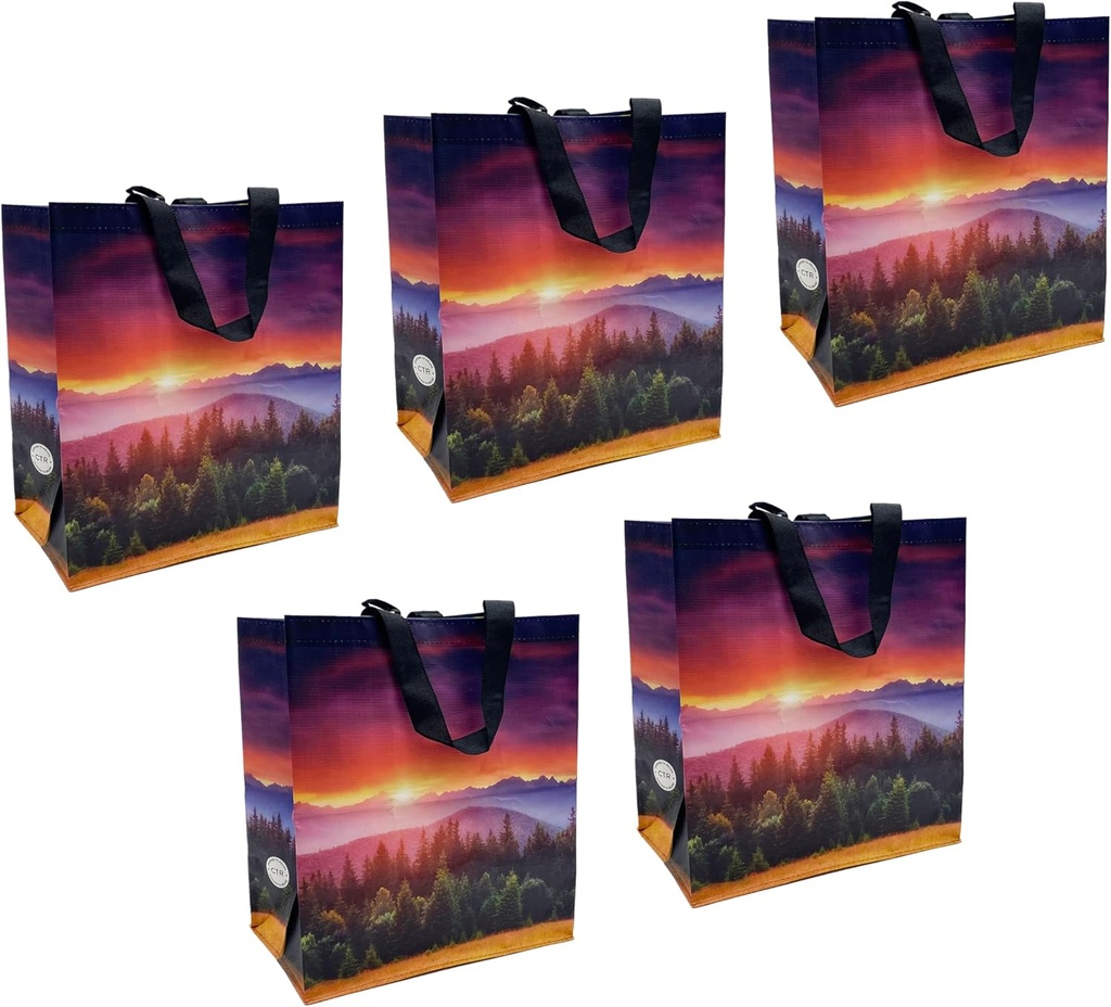 Earthwise Reusable Shopping Bags Extremely Durable Multi Use Large Stylish Fun Foldable Water-Resistant Totes