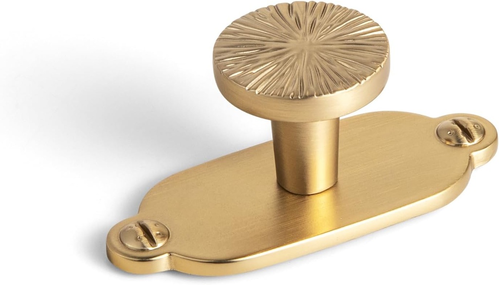 Goo-Ki Zinc Alloy Cabinet Knob with Backplate-Champagne Bronze Drawer Knobs,6 Pack