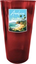 R and R Imports Anaheim California Design B Souvenir Plastic 16 oz pint Red 4-Pack
