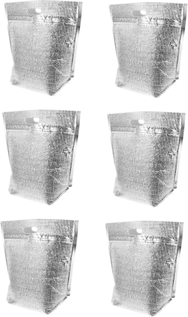 Cabilock 6Pcs Heat Insulated Food Thermal Bags with Zipper Silver Takeout Tote Bags for Fresh Keeping Hot and Cold Food for Home Picnic and