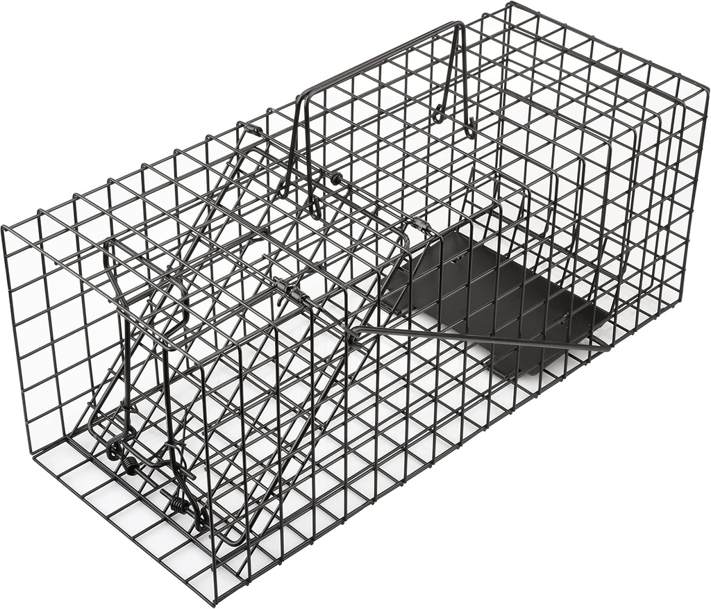 Live Squirrel Trap Heavy Duty Humane Animal Cage Trap (No Assembly Required)