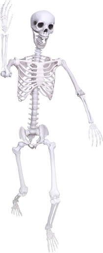[BRSRAYYEAEHGCAD5] 5.9Ft Halloween Skeleton Posable Skeleton Life Size Skeleton Plastic Full Body Human Skeleton for Halloween Decorations
