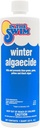 In The Swim Winter Swimming Pool Algaecide - 1 Quart