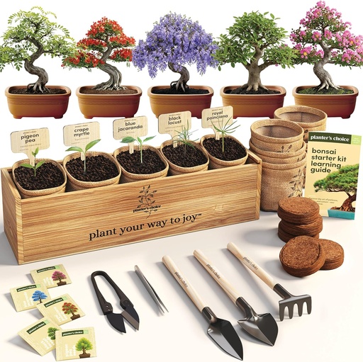 [BRSREH3QPJ6QKEYZ] Planter's Choice Bonsai Tree Starter Kit - Unique Gifts for Women, Men - Christmas Gifts for Adults - Indoor Live House Plants - DIY Crafts for Adults Craft Kits - Hobby Gift for Gardening Lovers