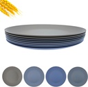 10 inch Wheat Straw Plate, Unbreakable Flat Dinner Plates Set of 8, BPA Free Dishwasher & Microwave Safe Reusable Salad, Camping for Kids Kitchen (Grey Stone)