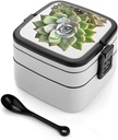 Succulent Botanical Bento Box, Reusable Double Layer Lunch Box with Handle & Dividers, 1000ml Leakproof Lunch Container for Office, Picnic, Travel