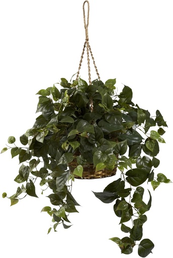 [BRSWIFA4BUCRE3DK] Nearly Natural Philo Hanging Basket