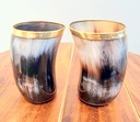 Viking Small Glass Set Drinking Horn Glass Natural Horn Whisky small Cups Vikings Drink Glass and Game of Fan's Pair of Shot Glasses