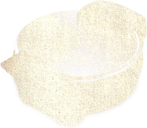 [BRSWKGAYDMOBMHQZ] Belgian Waffle Maker Case Cover Bag, Home and Kitchen Basics, 2 in 1 Design