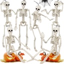 6 Pack Halloween Skeleton Decorations Outdoor: 16" Full Body Skeleton With Movable Posable Joints - Spooky Halloween Props for Yard, Garden, Lawn, Haunted House, Graveyard Decor
