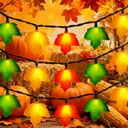 Fall Maple Leaf String, 8.5FT Outdoor Fall Lights with 10 LED Multicolor Maple Leaves Light Plug in Fall String Lights for Autumn Home, Kitchen, Table, Home, Mantel and Thanksgiving Decorcoration