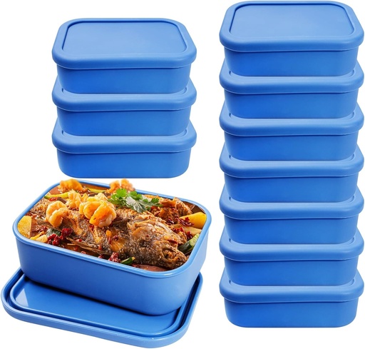 [BRSRAAITAR5WMCL2] 10 Pcs 2 Cup Silicone Freezer Trays with Lids Reusable Food Tray Freezing Molds Rectangle Containers for Food Preserving (Blue)