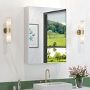 20" x 26" Aluminum Medicine Cabinet with Mirror, Only Wall Mount Medicine Cabinet for Bathroom, Modern Sliver Mirrored Medicine Cabinet with Storage and 2 Adjustable Shelves,Tempered Glass