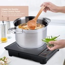 Portable Induction Cooktop, 1800W, Countertop Burner, Gold