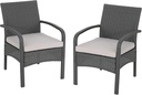 Otto Outdoor Wicker Club Chair, Gray and Silver(Set of 2)