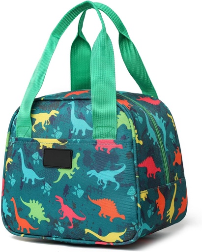 [BRSRAYAYCN6B63L4] Nanxson Lunch Bag for Women & Men Insulated Lunch Box Small Leakproof Cooler Food Lunch Containers Reusable High Capacity Lunch Tote Bags(6L,Green Prints)