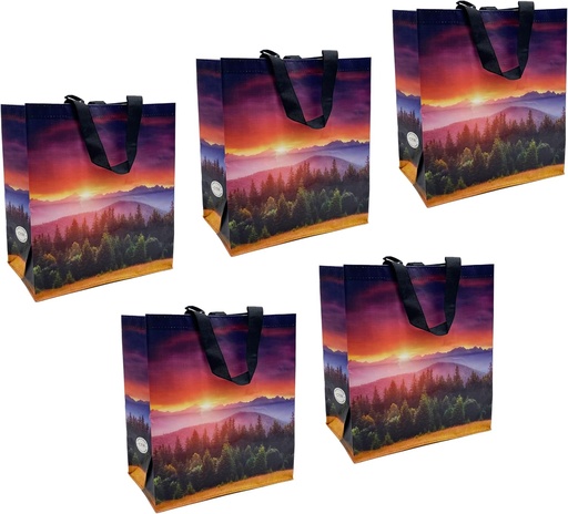 [BRSRAHA3BEHGGE3G] Earthwise Reusable Shopping Bags Extremely Durable Multi Use Large Stylish Fun Foldable Water-Resistant Totes