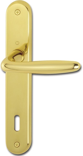 [BRSWKZQOOYEBWFQ3] HOPPE Roissy 2857622 Door Handle Set with Long Plate Deadlock Distance 90 mm for Door Thickness 35-54 mm Polished Brass