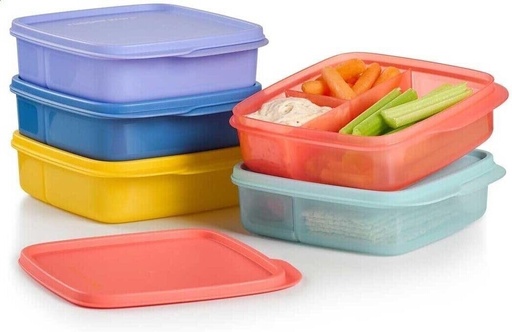 [BRSROGIOBBYREGYZ] Tupperware Eco Lunch It Divided Container Set of 5