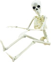 XONOR 16” Posable Halloween Skeleton- Full Body Halloween Skeleton with Movable Joints for Haunted House Props Decorations (1pc)
