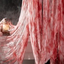 197" x 85" Halloween Creepy Cloth - Halloween Spooky Fabric Cloth - Scary Gauze Blood Creepy Cloth for Haunted House Halloween Party Yard Wall Doorway Outdoors Decoration