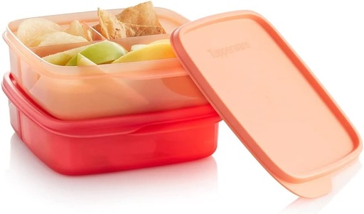 [BRSROHD3CUHQAH3D] Tupperware ECO+ Lunch It Container Set of 2 in Cozy Rosy and Emberglow